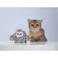 FOFOS - צעצוע ינשוף לחתול אינטרקטיבי מתנדנד ומצייץ (נטען עם USB)